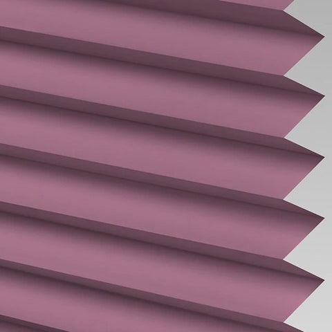 Infusion ASC Translucent Purple